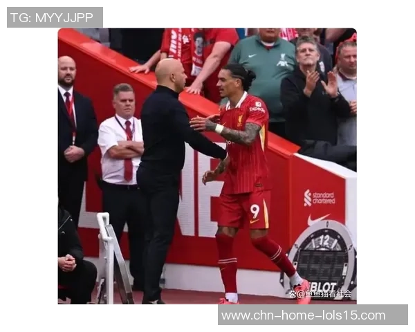 努涅斯的崛起与挑战：解析这位新星在足球界的影响力与未来发展潜力