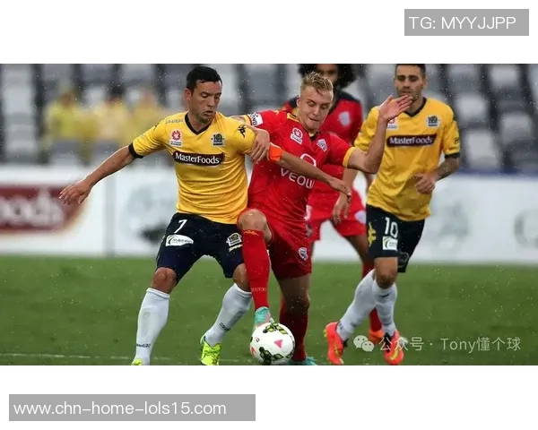 墨尔本城与西联视频的精彩对决解析与赛后点评